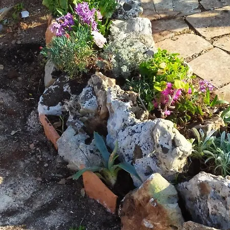 Tenuta Trullo Odisseo Casa vacanze *